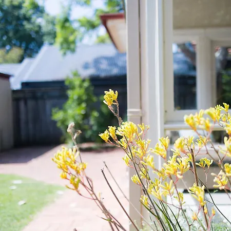 Greenwich Luxury Near Wharftraincbd Steps To Sea-2